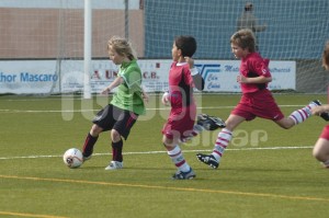 dsc_1750-800x600
