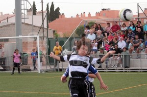 copia-de-img_0897-800x600
