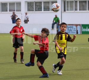 img_4867-copia-800x600
