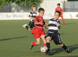 _dsc0169