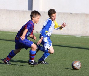 img_7414-copia-800x600