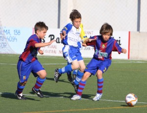 img_7452-copia-800x600