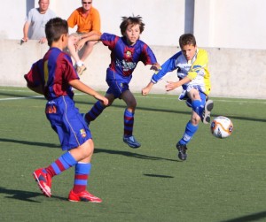 img_7488-copia-800x600