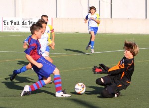 img_7532-copia-800x600