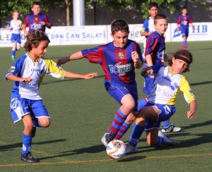 img_7541-copia-800x600