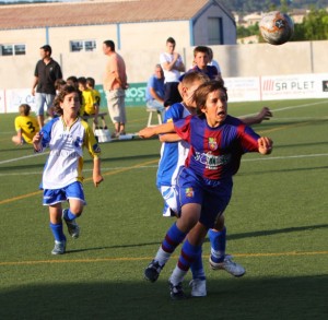img_7601-copia-800x600