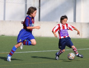 img_7901-copia-800x600