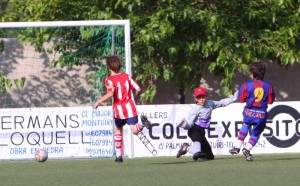 img_7913-copia-800x600