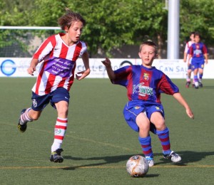 img_7924-copia-800x600