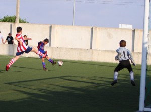img_8020-copia-800x600
