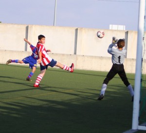 img_8022-copia-800x600