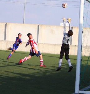 img_8023-copia-800x600