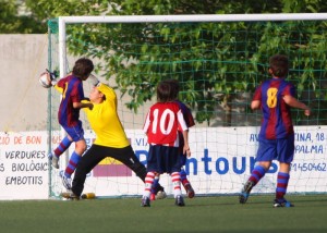 img_8062-copia-800x600