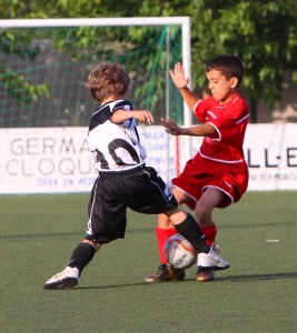 img_8111-copia-800x600