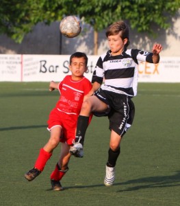 img_8125-copia-800x600
