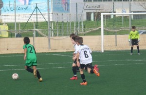 cosntancia 11-1 montaura 033