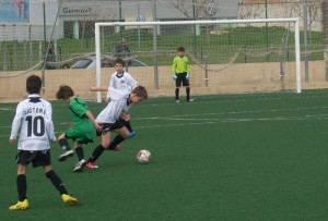 cosntancia 11-1 montaura 045