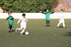 llosetense 4-montaura 3 003-2