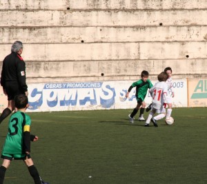 llosetense 4-montaura 3 013-2