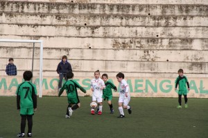 llosetense 4-montaura 3 020-2