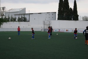 DSC00211