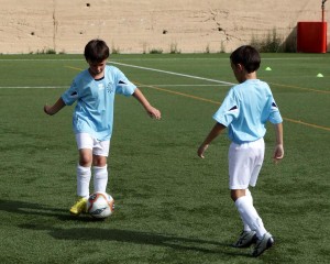 COIMG_6952
