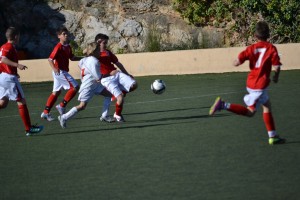 . 142 (Copiar)