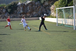 . 252 (Copiar)